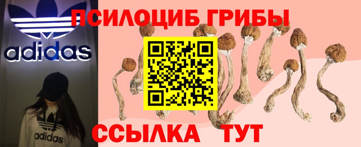 Псилоцибиновые грибы Magic Shrooms  Галлюциногенные грибы Psilocybe  Заринск  Вход с VPN 